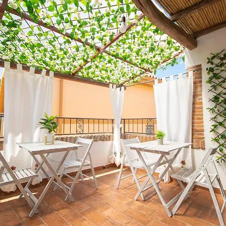 Sinis Domus סיניסקולה